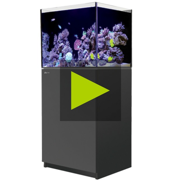 Red Sea Reefer 200 G3+ schwarz