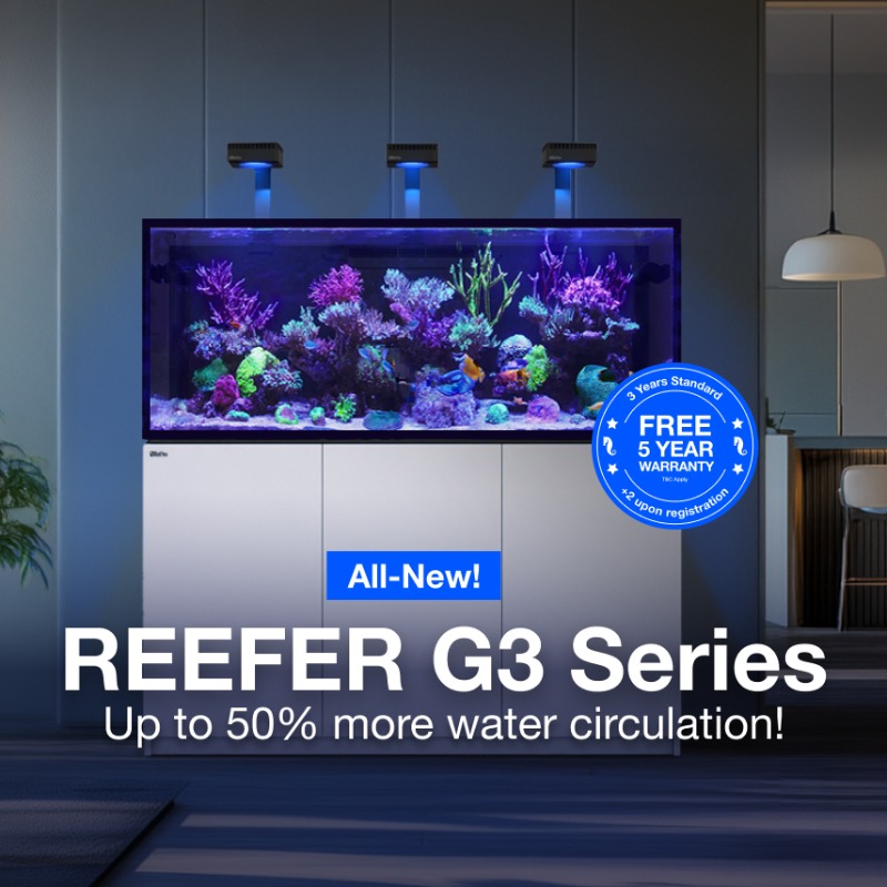 Red Sea Reefer G3 Aquarium mit 5 Jahren Garantie