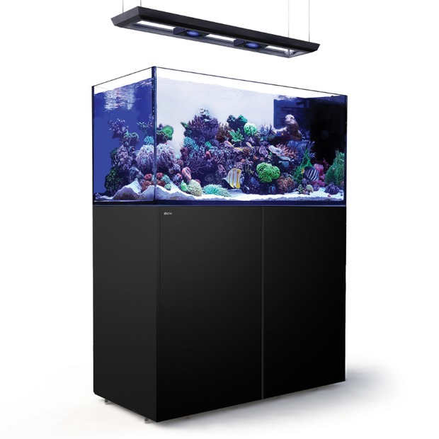 Red Sea REEFER MAX Peninsula 500 G3