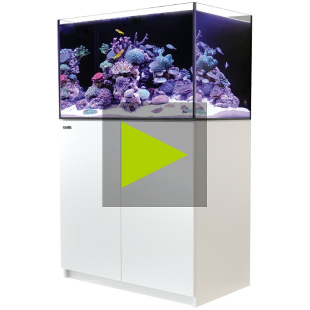 Red Sea Reefer 250 G3 weiss
