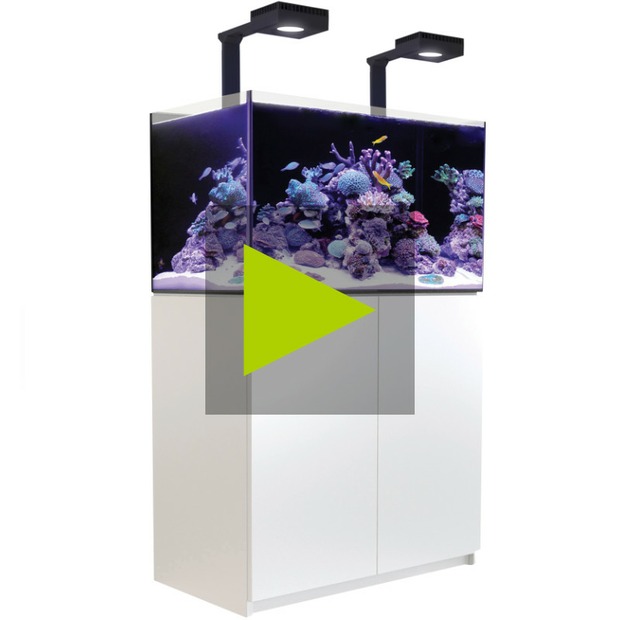 Red Sea Reefer 300 G3 Deluxe weiss