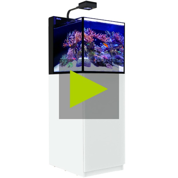 Red Sea MAX NANO Peninsula G3