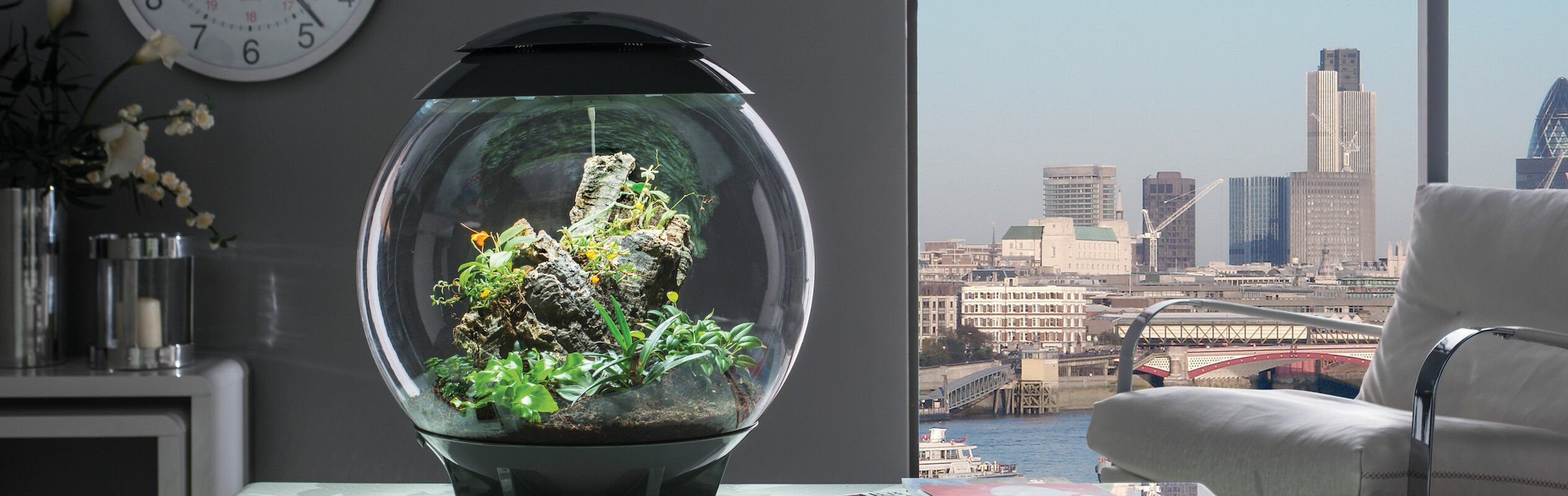 Terrarium