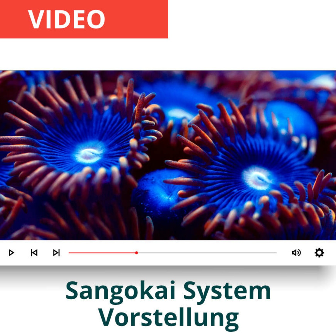 Sangokai nutri-P comPlex