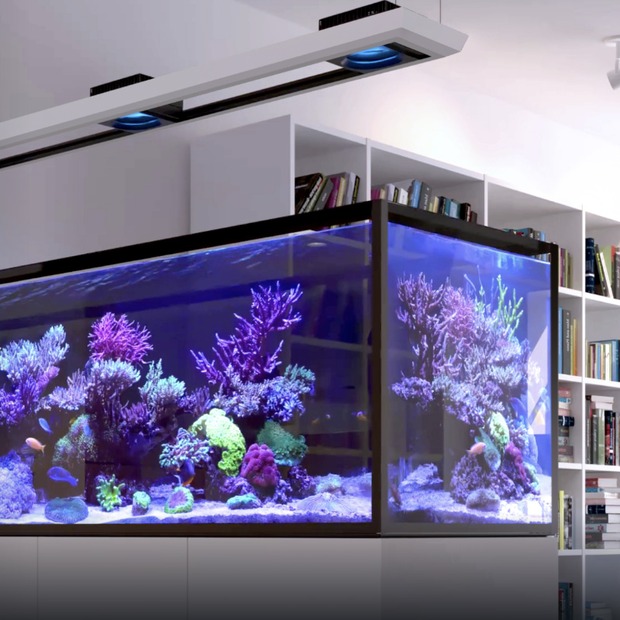 Red Sea REEFER MAX Peninsula S-950 G3