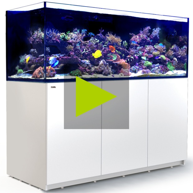 Red Sea Reefer 750 G3 weiss