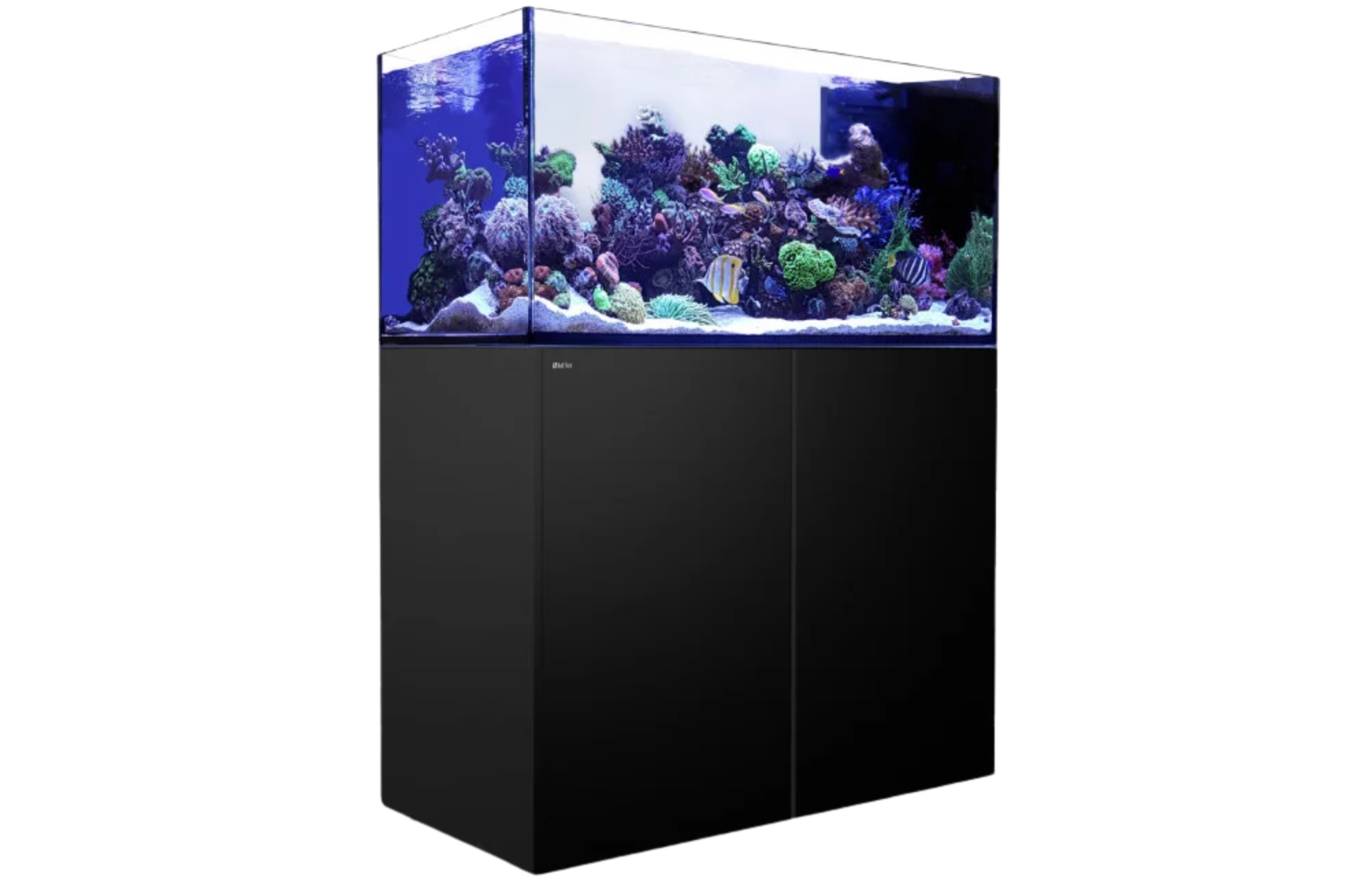 red-sea-reefer-peninsula-500