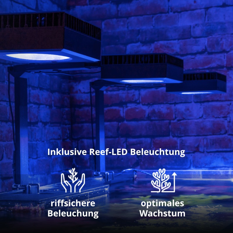 Red Sea Reefer G2 Deluxe