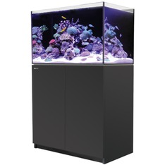 Red Sea Reefer 300 G3 schwarz