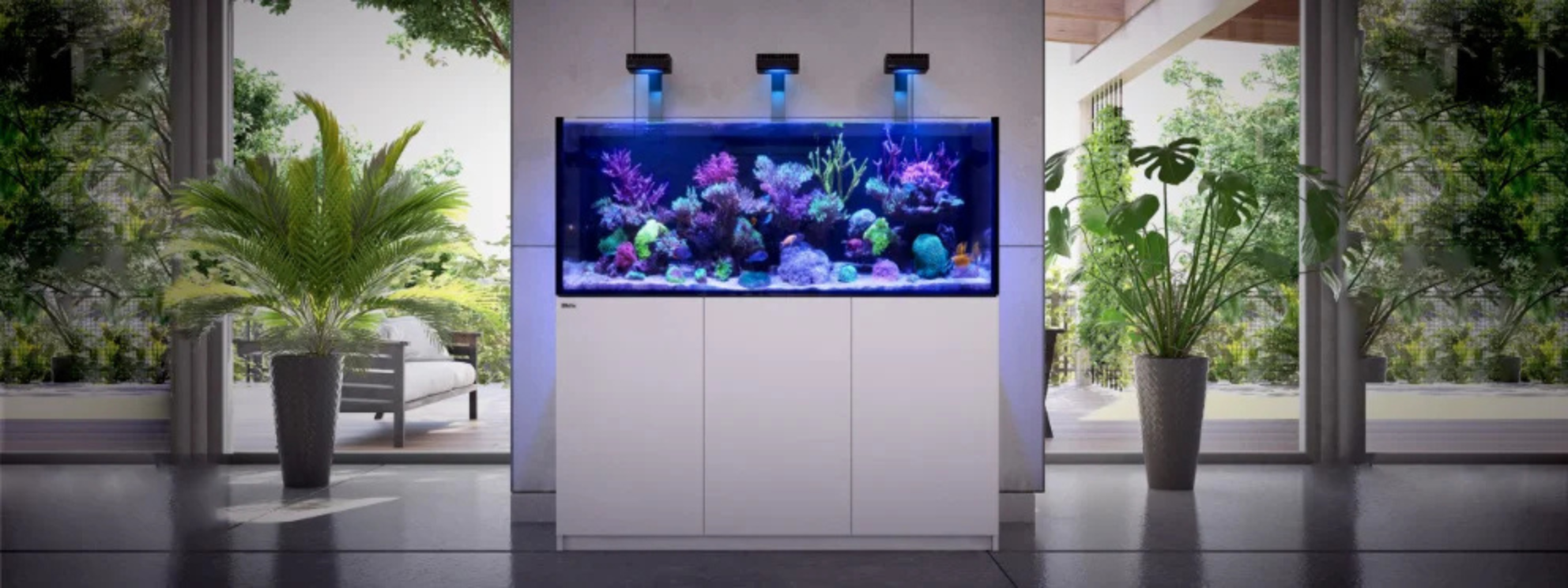meerwasser-aquarium-komplettset