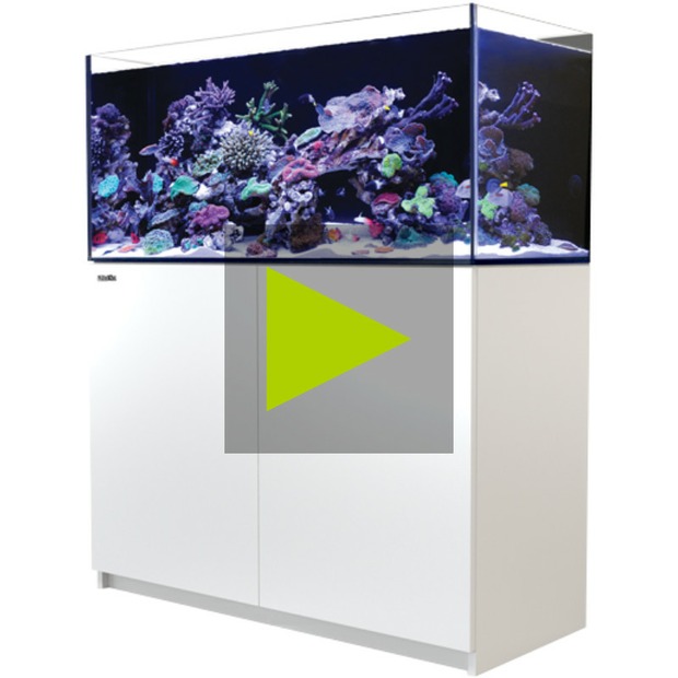 Red Sea Reefer 350 G3 weiss