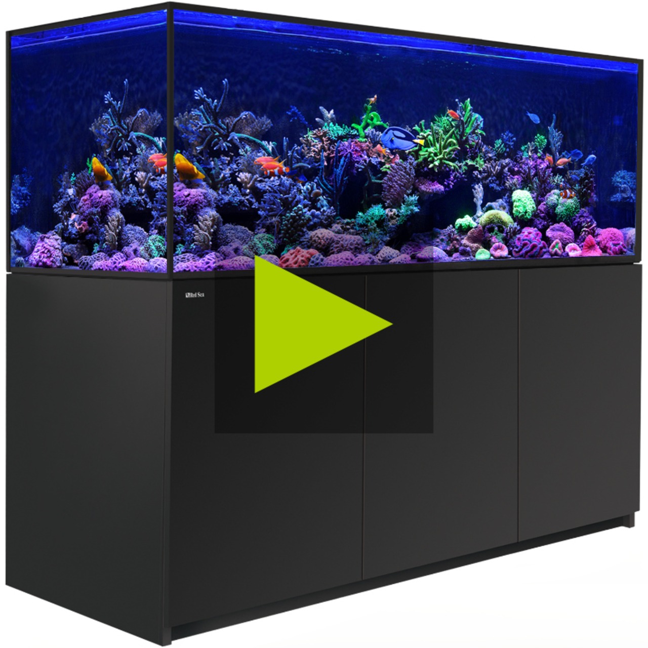 Red Sea REEFER MAX S G3