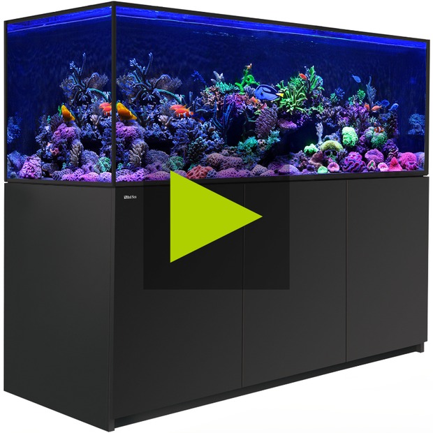Red Sea REEFER MAX S G3
