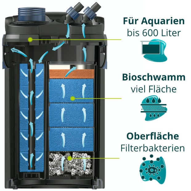 Oase BioMaster 600 G2