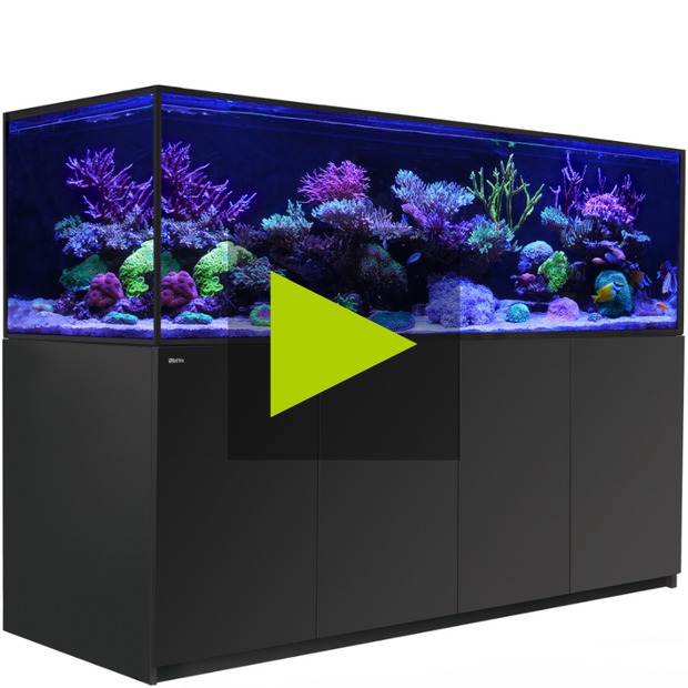 Red Sea REEFER MAX S G3