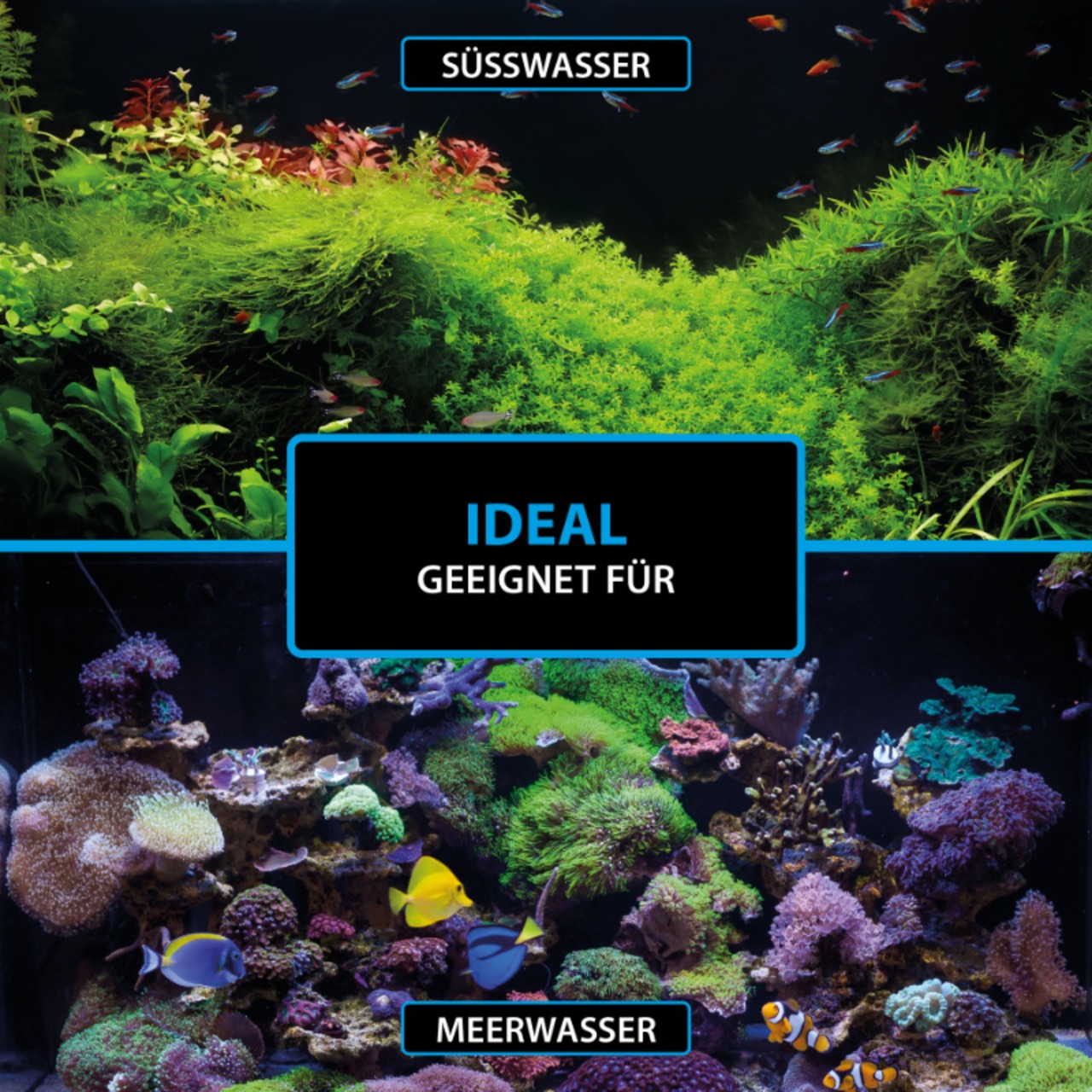 Arka BACTO-SHOT 50 ml