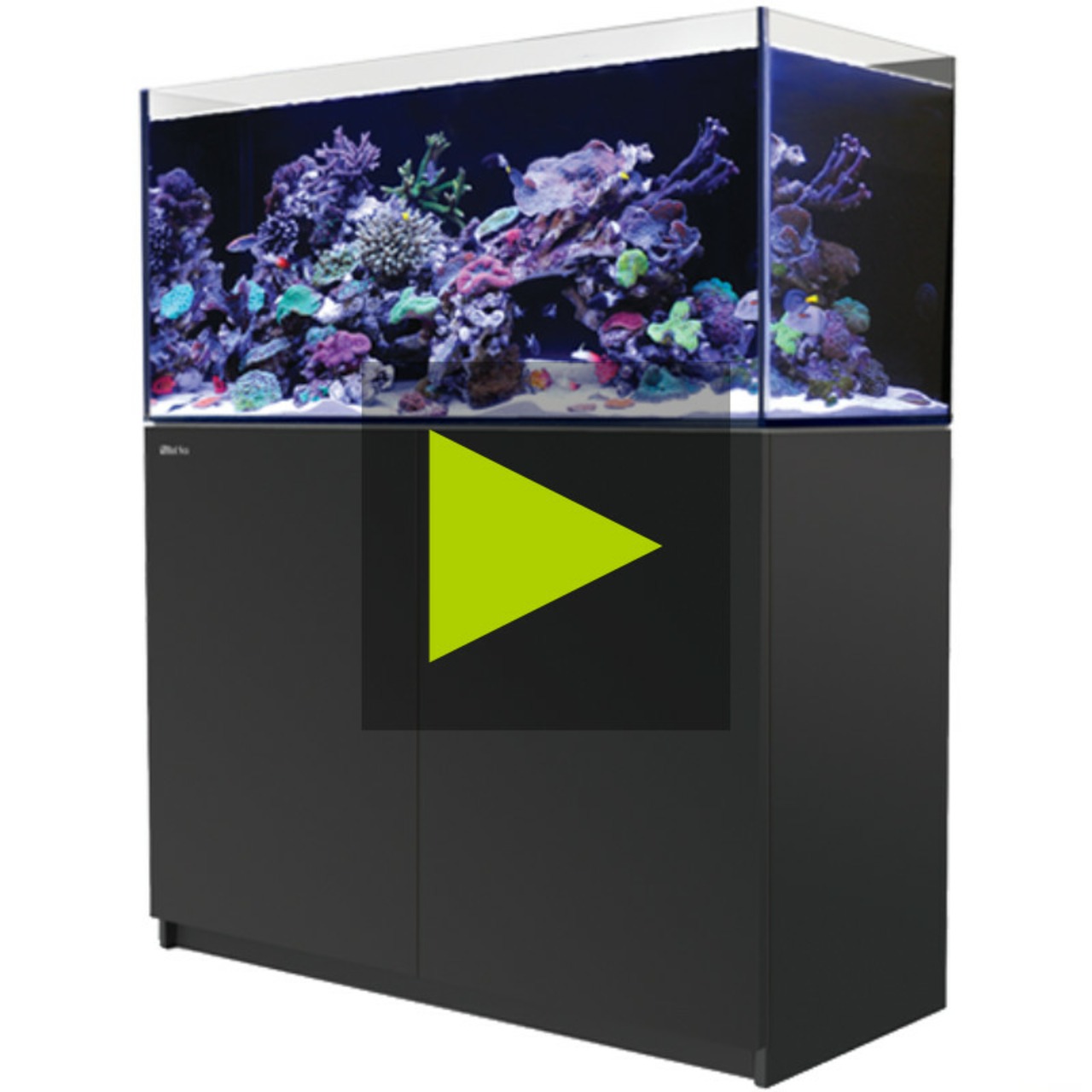 Red Sea Reefer 350 G3 schwarz