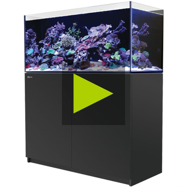 Red Sea Reefer 350 G3 schwarz