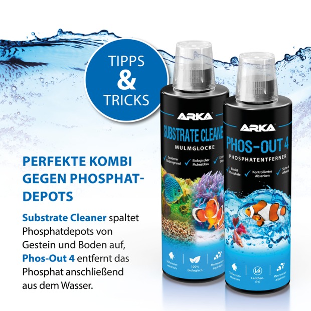 Phos-Out 4 ( flüssig ) 118ml