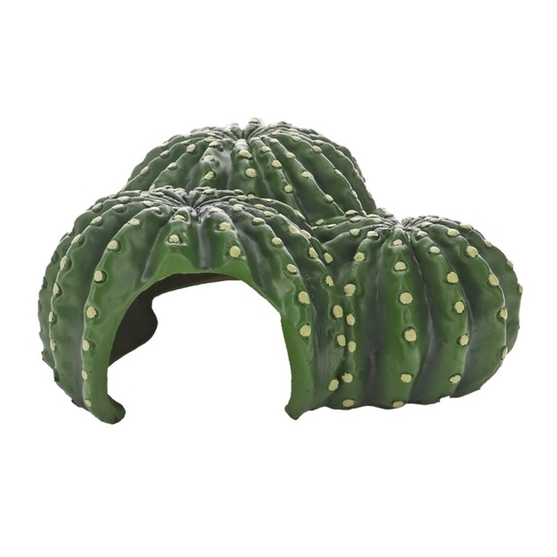 Hobby Cactus Home
