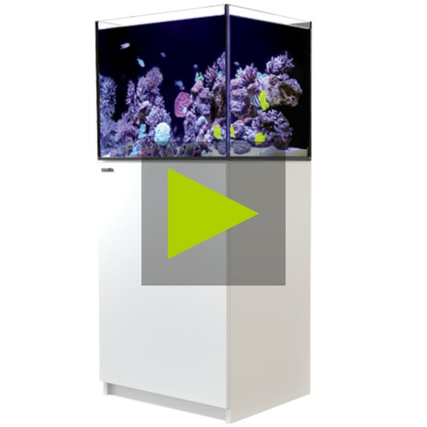 Red Sea Reefer 170 G3+ weiss