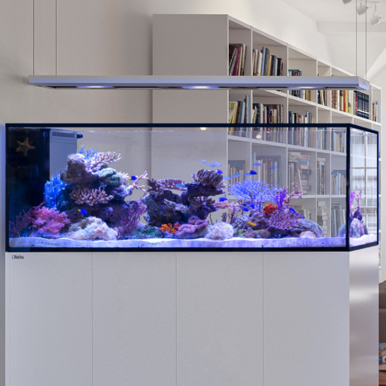 Red Sea REEFER Peninsula 500 G3+