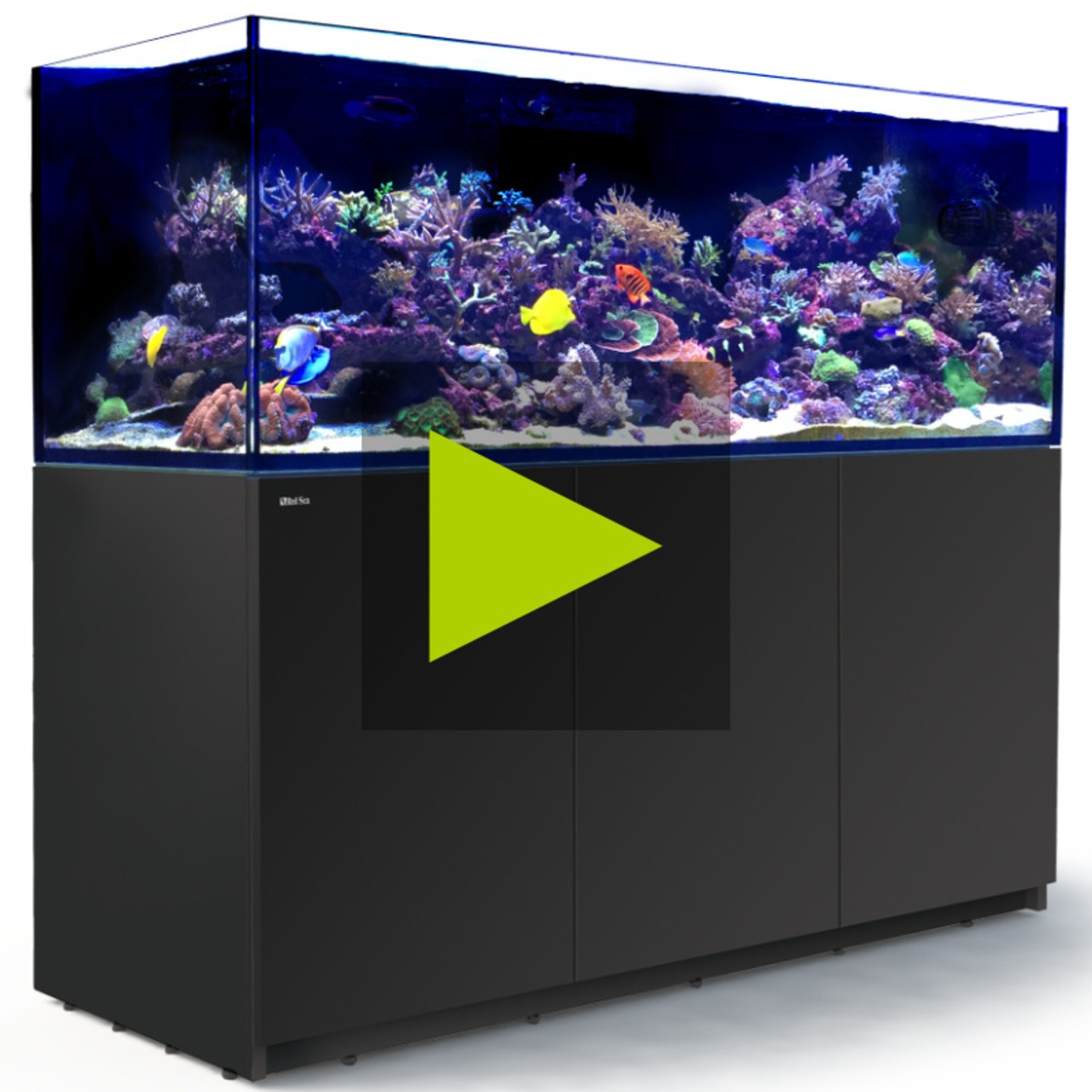 Red Sea Reefer 750 G3 schwarz
