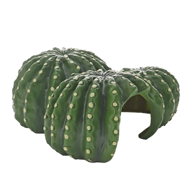 Hobby Cactus Home