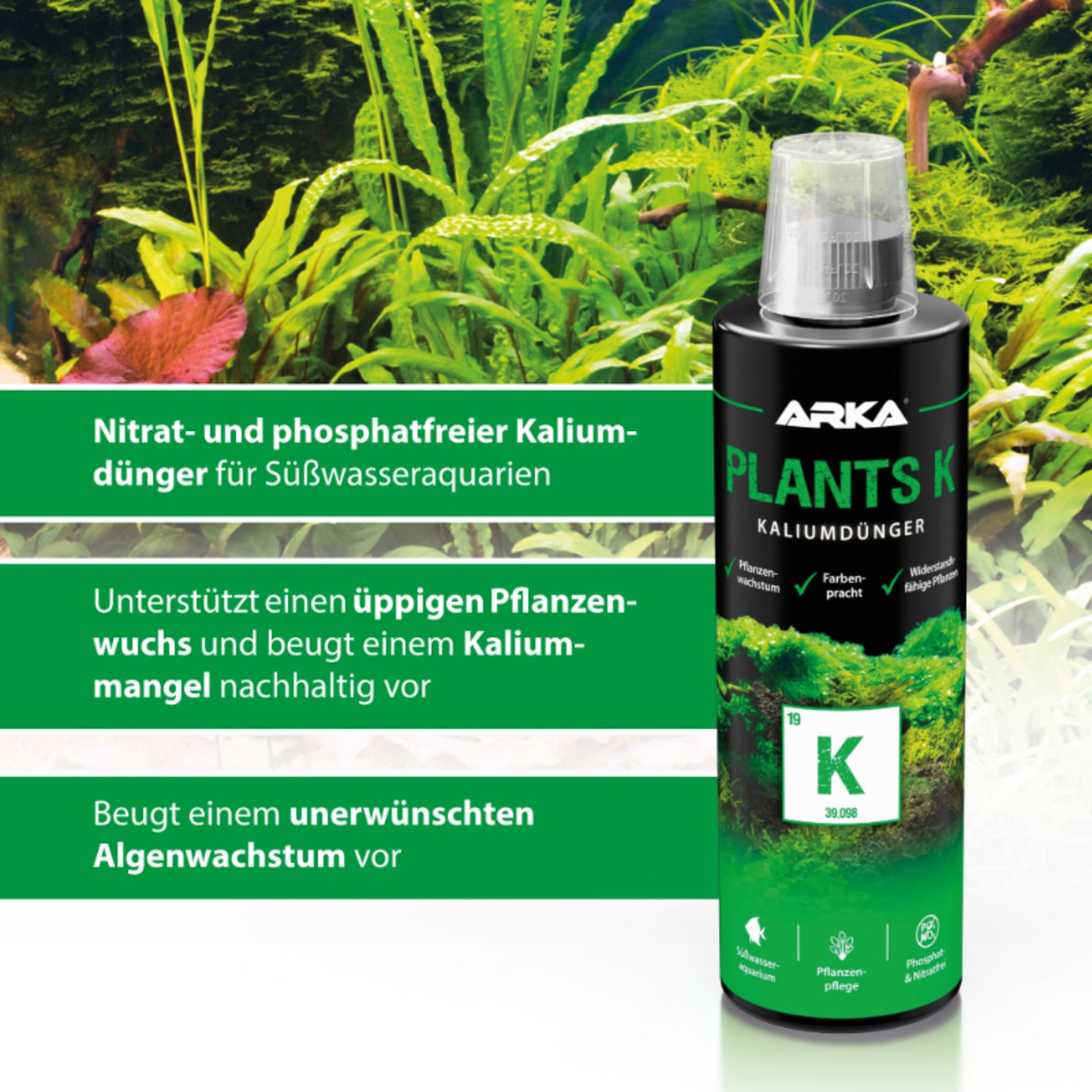 Arka Plants K