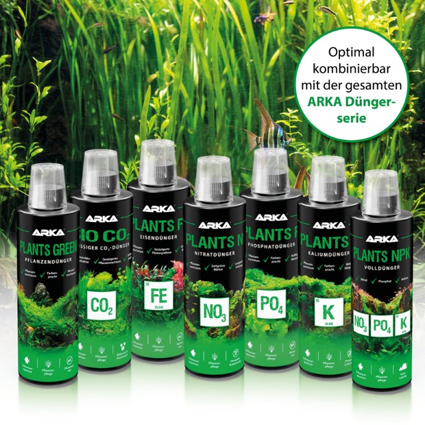 Arka Plants N