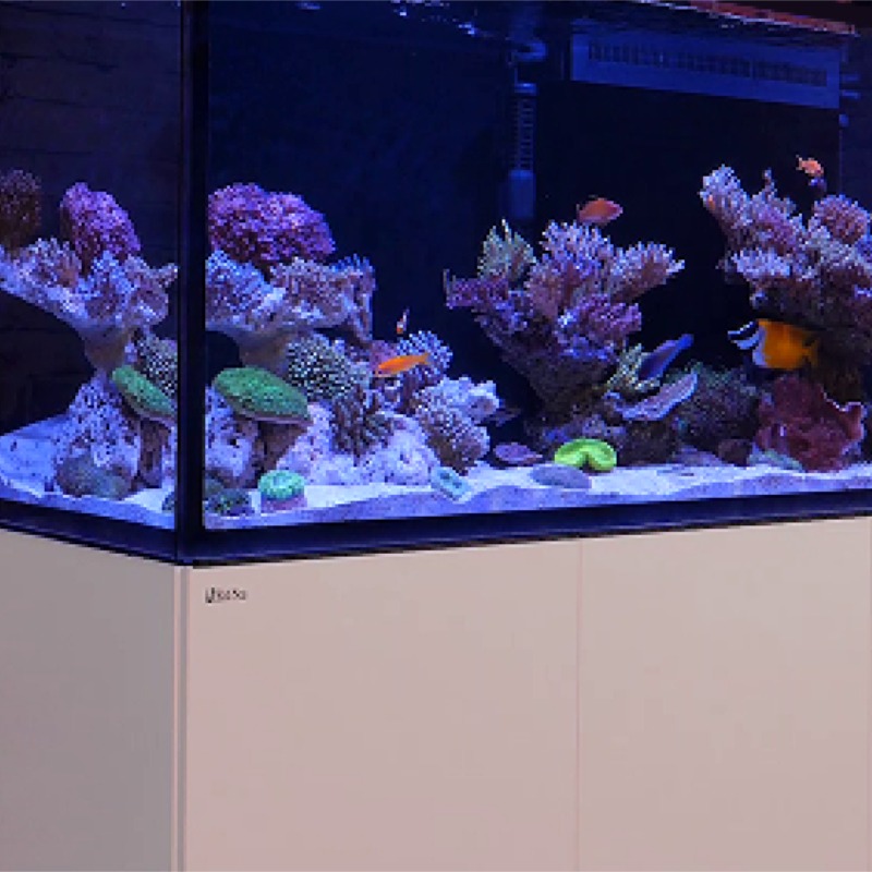 Reefer verstaerkter Schrank