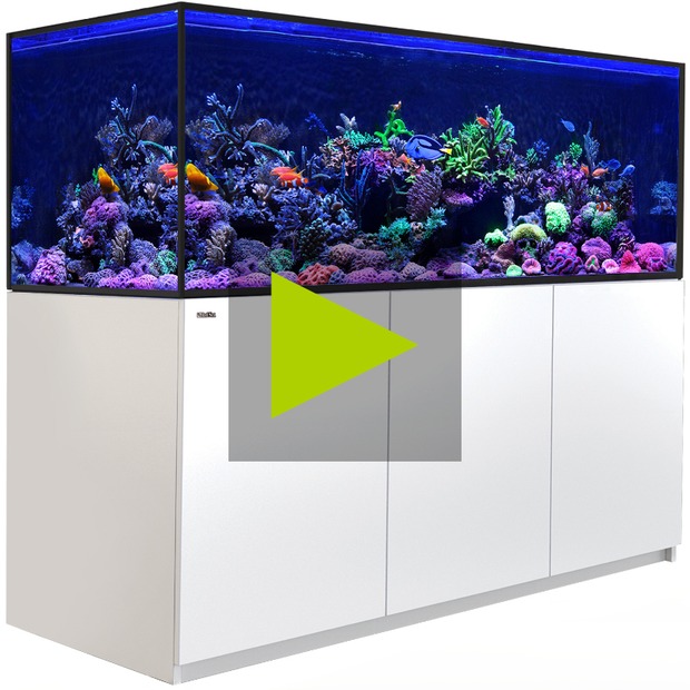 Red Sea REEFER MAX S G3
