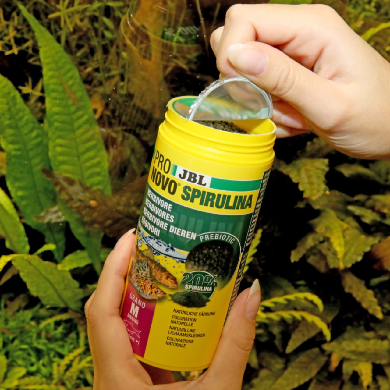 JBL ProNovo Spirulina Grano S CLICK