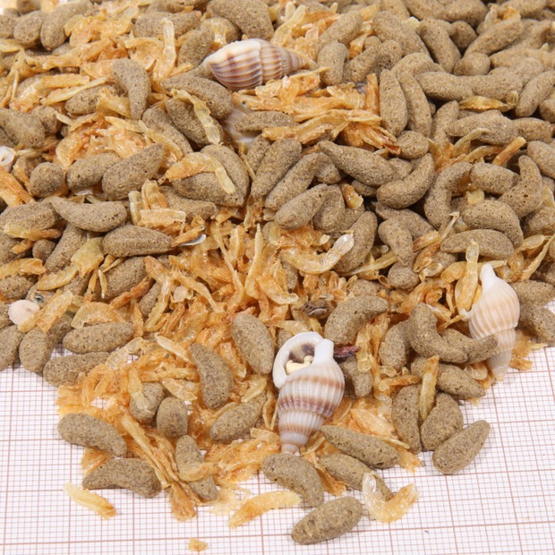 JBL ProTerra Molluscus