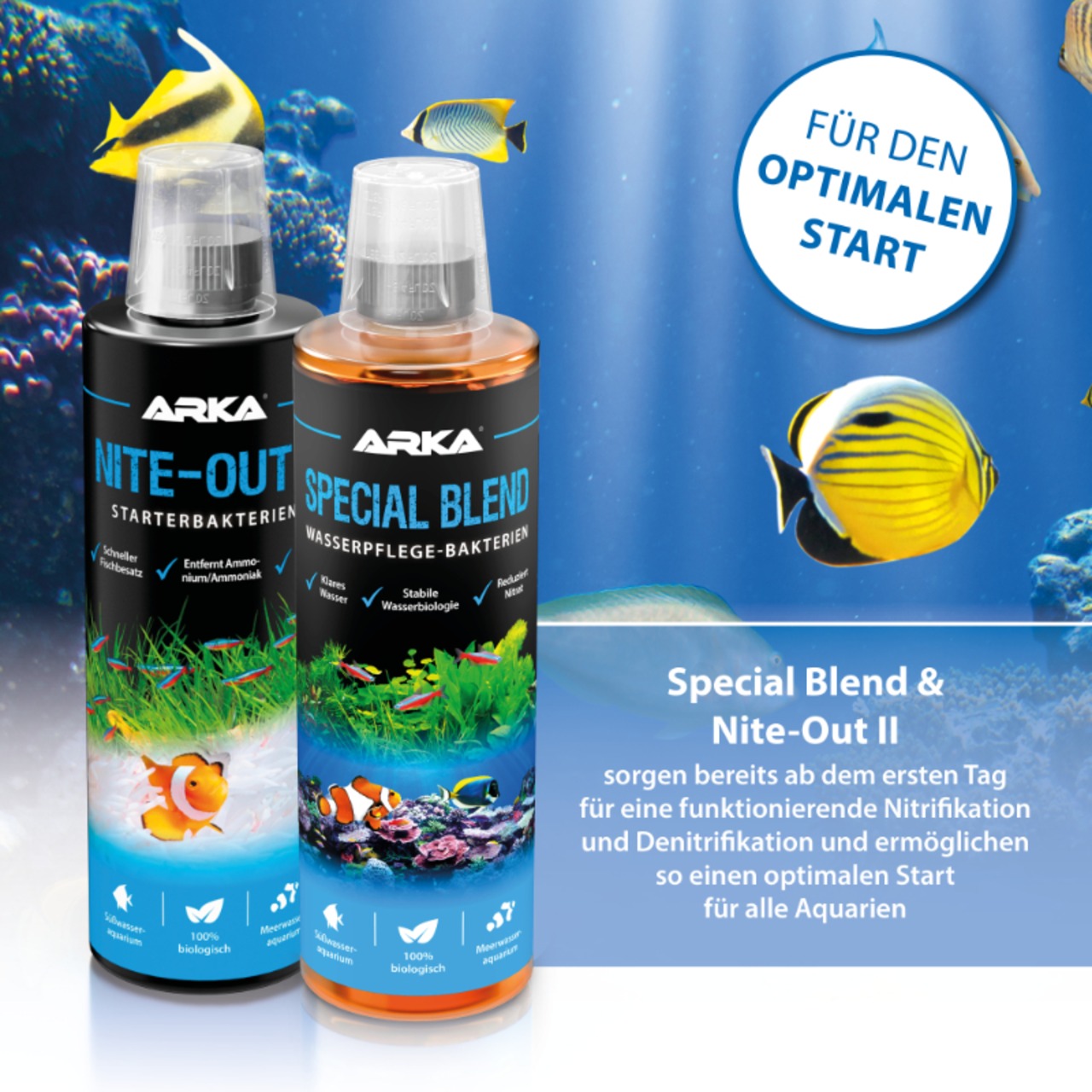 Arka Special Blend Pond