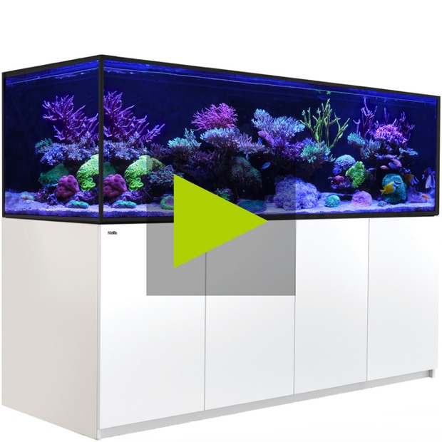 Red Sea REEFER MAX S G3