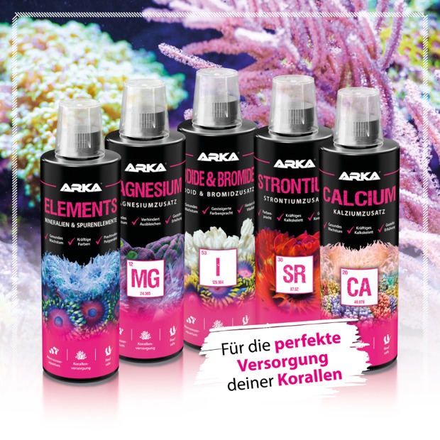 Arka Strontium 473ml