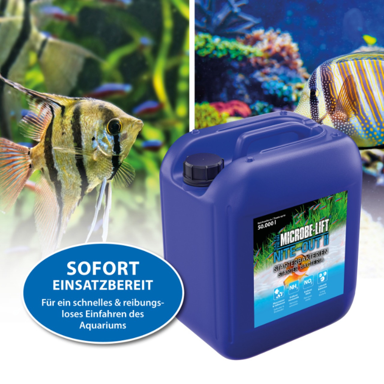 Microbe Lift Nite-Out II - Starterbakterien 5 L