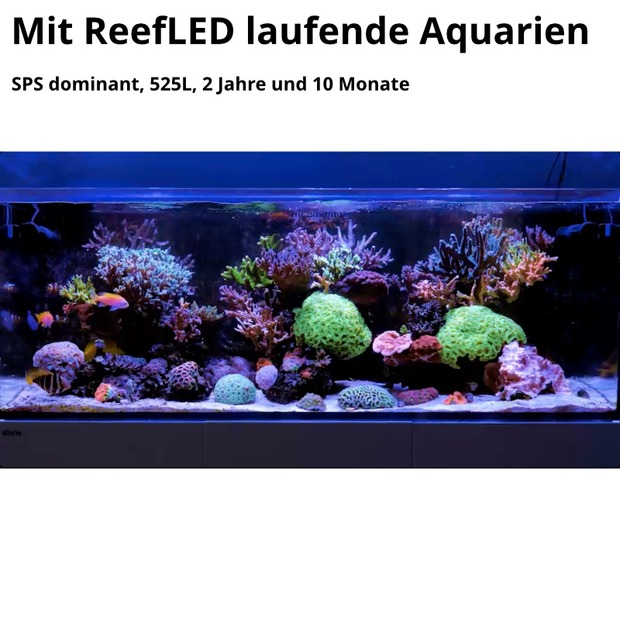 Red Sea ReefLED G2