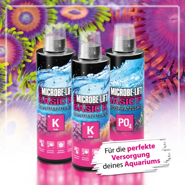 Microbe Lift Basic K