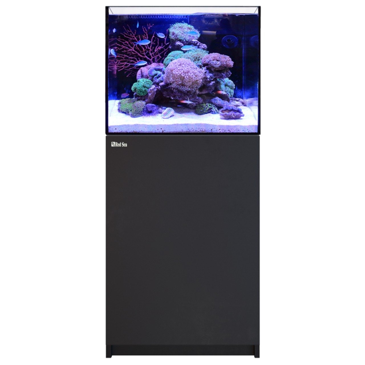 Red Sea Reefer 170 G3 schwarz