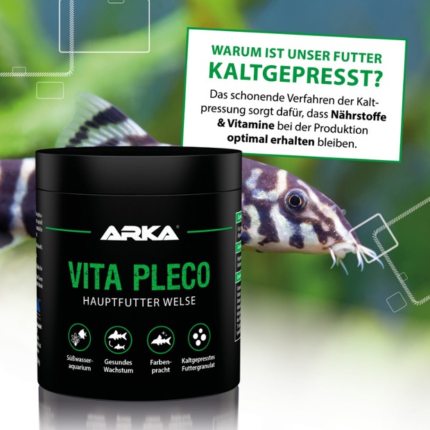 ARKA Vita Pleco Welsfutter 250 ml