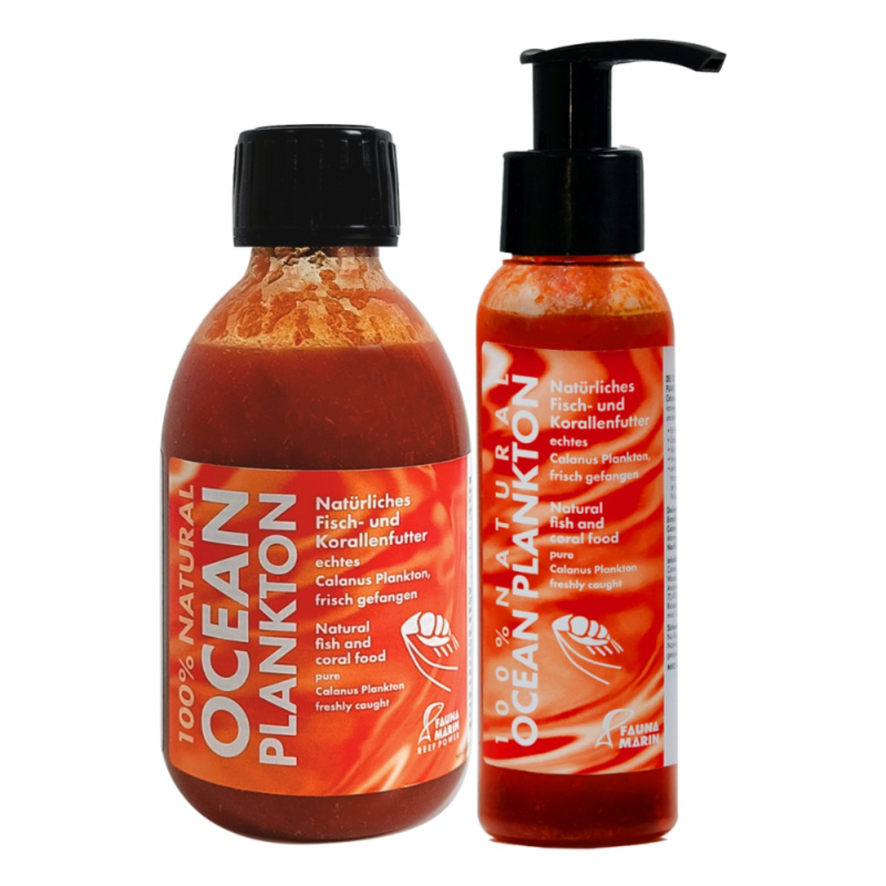 Fauna Marin Ocean Plankton