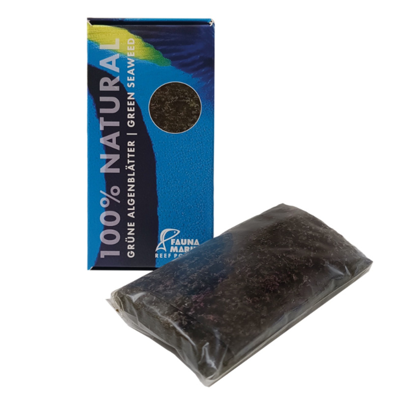 Fauna Marin grüne Algenblätter