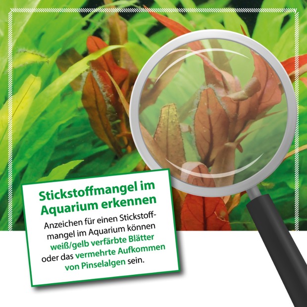 Microbe Lift Plants NPK