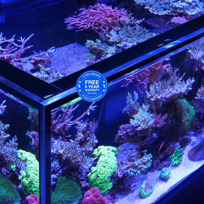 Red Sea Reefer Peninsula Steg und Ultra-Klarglas