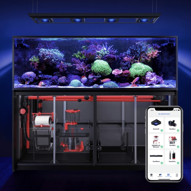 Red Sea REEFER MAX Peninsula S-950 G3