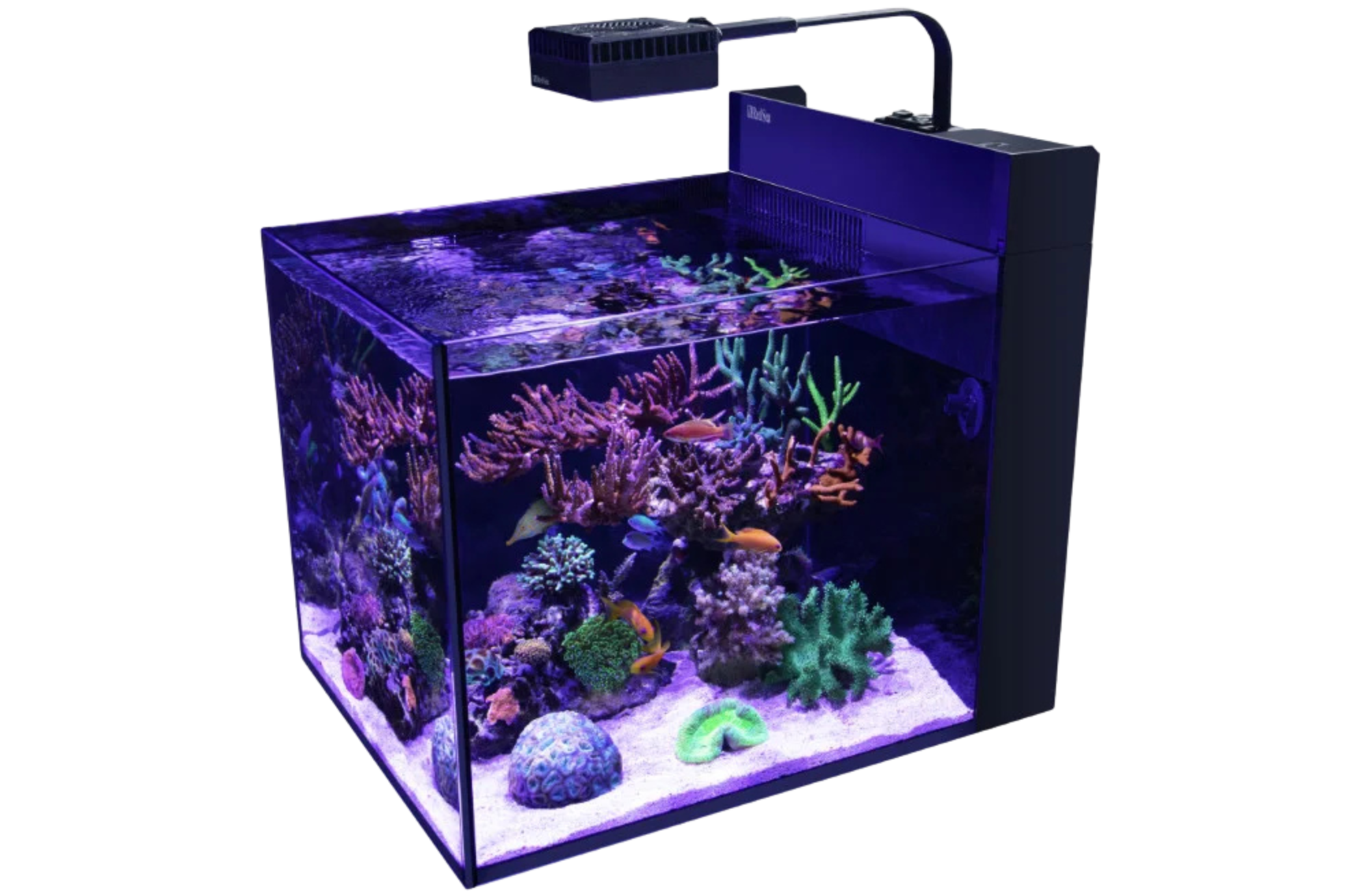red-sea-max-nano-peninsula