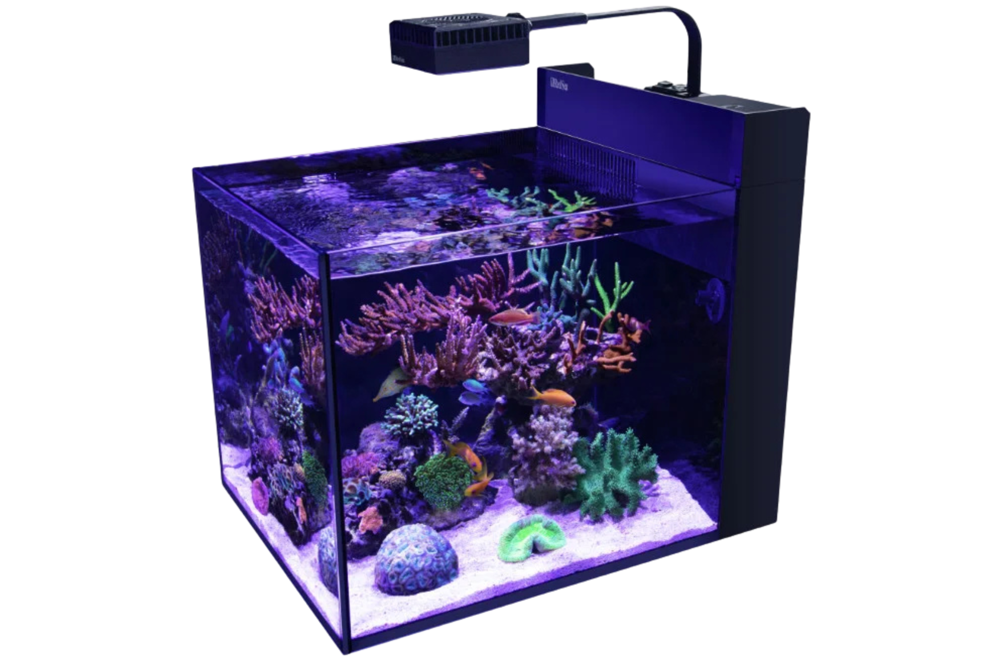 red-sea-max-nano-peninsula