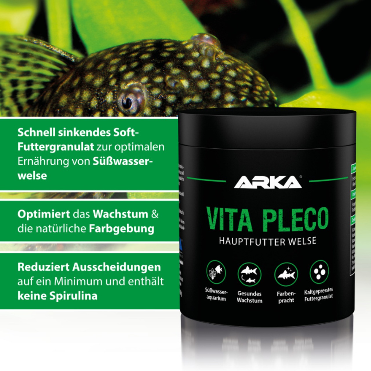 ARKA Vita Pleco Welsfutter 250 ml